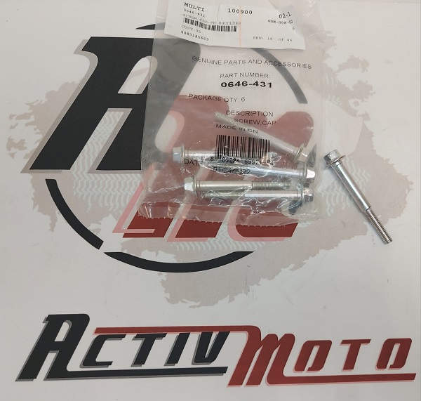 Болт крышки ведущего вариатора снегохода Arctic Cat 0646-431